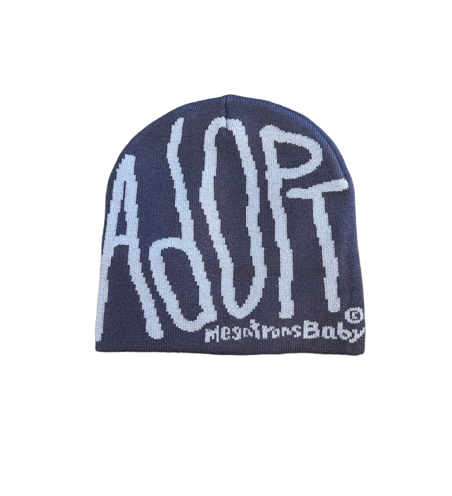 Dog Pound Beanie -Blue